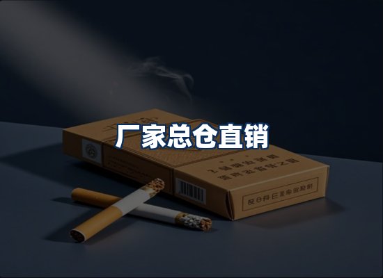 专业团队办公环境